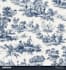 create traditional and customized toile de jouy