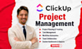 setup clickup project management boards automations, be your clickup consultant
