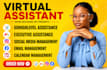 be executive admin shopify virtual assistant ghl VA expert social media manager