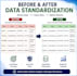 expert microsoft word document formatting and editing