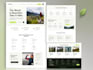 design, redesign or customize wordpress website or landing page cro