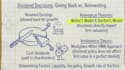 turn your lesson into an animated study notes