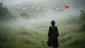 create viral aesthetic urdu poetry and sad quotes instagram posts