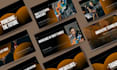 do professional powerpoint or canva presentation