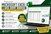 be your microsoft excel expert for data entry, formulas and dashboards