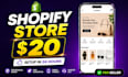 setup a professional shopify dropshipping store