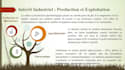 crée une présentation powerpoint professionnelle