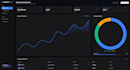 data visualizations and workflow automation system developer