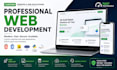 build professional website with hosting setup