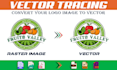 convert image to vector, vector tracing, vectorize image, vector logo