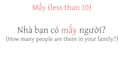 teach you to speak vietnamese confidently and naturally