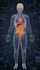 3d medical animation 3d medical equipment 3d cgi animation 3d dental animation