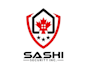 design awesome security logo in 24hours