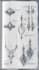 design custom jewelry sketches