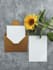 handwrite your modern, stylish postcards, cards, and envelopes