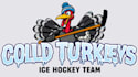 do amazing turkey hockey logo with free source file