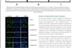 phd healthcare content writer