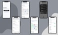 develop a custom react native mobile app