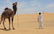 deliver funny happy birthday video with camel