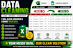 do data cleaning and data entry