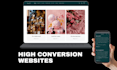 build shopify high conversion website, ecommerce website