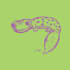 draw your pet or any animal
