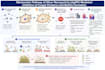 do scientific writings and infographics