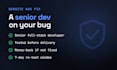 fix bugs and make small changes on your website
