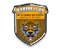 design an outstanding tiger head logo for your brand