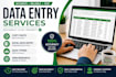 do accurate data entry,copy pest,web research,and excel data entry