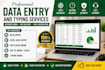 data entry and excel
