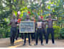african happy birthday video african happy birthday video