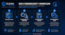 perform a professional website security audit