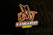 create a custom kangaroo logo with unique concepts