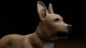 create a 3d character