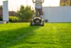 create professional landscape designs and maintenance in uae