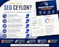 do a professional website SEO audit with actionable report