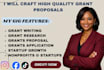 provide expert grant writing and funding proposal services