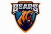 create stunning bear mascot logo with unique style