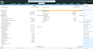 do tally accounting and data entry for your business
