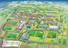 design 2d and 3d school maps, campus maps, park maps, and wayfinding maps