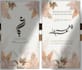 design professional brand visual identities