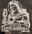 create professional embroidery digitizing files
