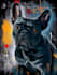 draw amazing abstract pet illustration
