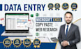 do accurate data entry, excel, copy paste, and web research