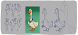 design professional animation characters