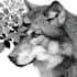 create a black and white pen and ink illustration