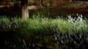 3d game environment level design modular open world 3d game map in unity ue5