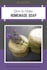 design editable canva templates for your social media posts and brand
