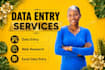 provide professional customer service and virtual assistance